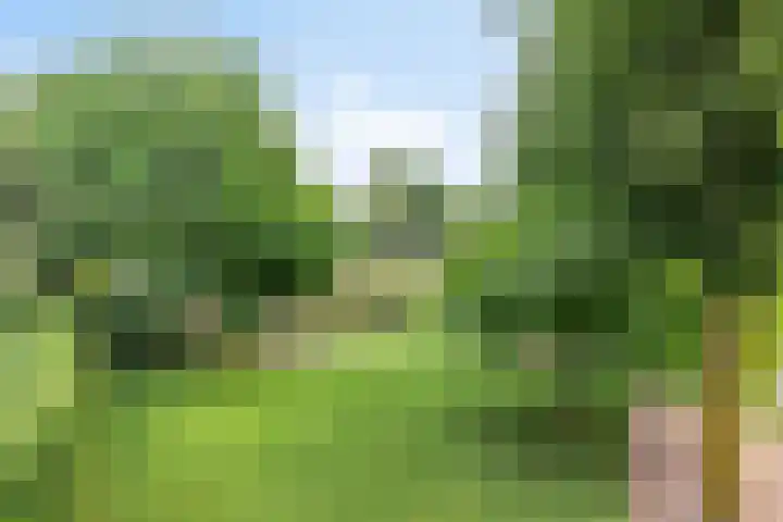 Beukenlaan 3 Heesch thumbnail 14