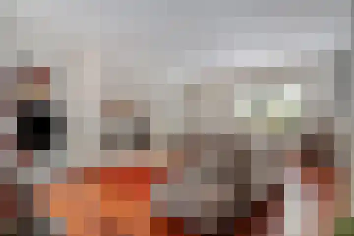 Beukenlaan 3 Heesch thumbnail 19