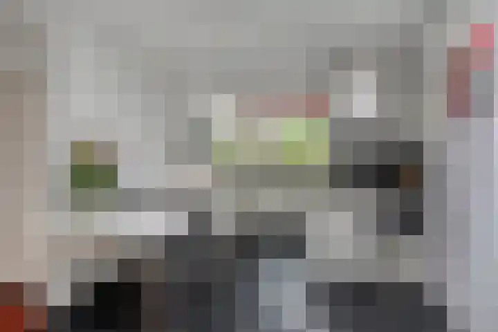 Beukenlaan 3 Heesch thumbnail 28
