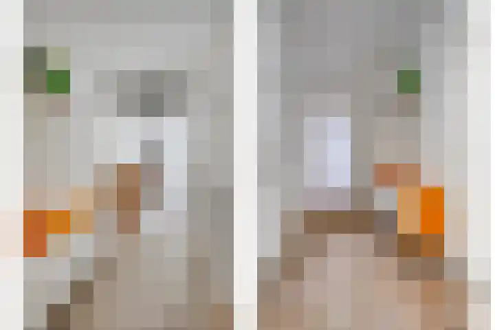 Beukenlaan 3 Heesch thumbnail 32