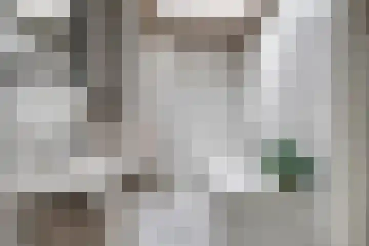 Beukenlaan 3 Heesch thumbnail 41