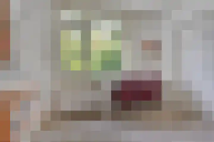 Beukenlaan 3 Heesch thumbnail 47
