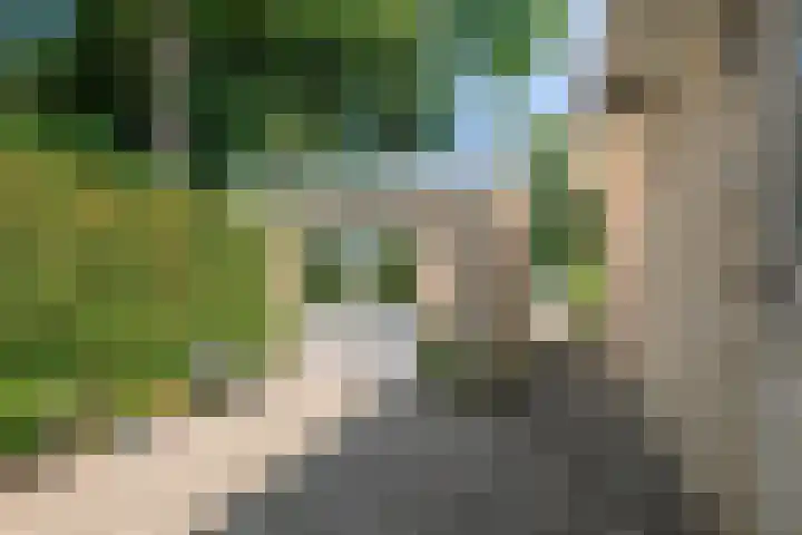 Beukenlaan 3 Heesch thumbnail 48