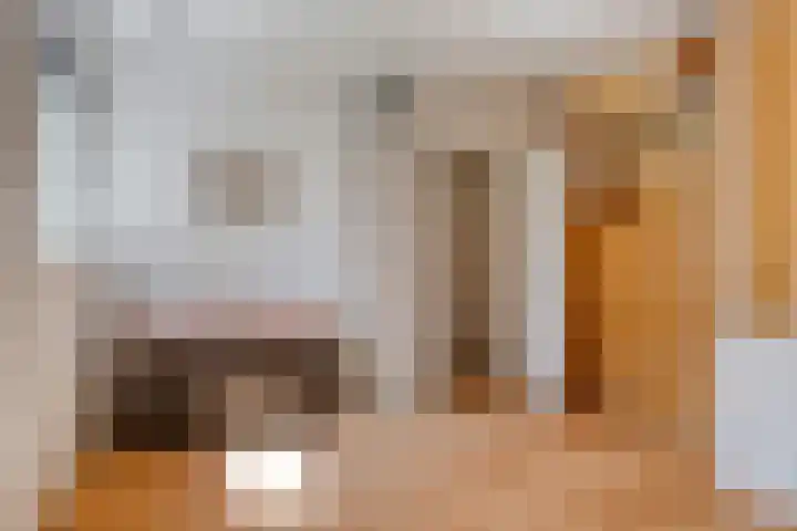 Beukenlaan 3 Heesch thumbnail 51