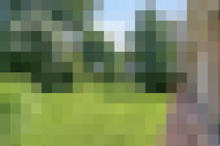Beukenlaan 3 Heesch thumbnail 54