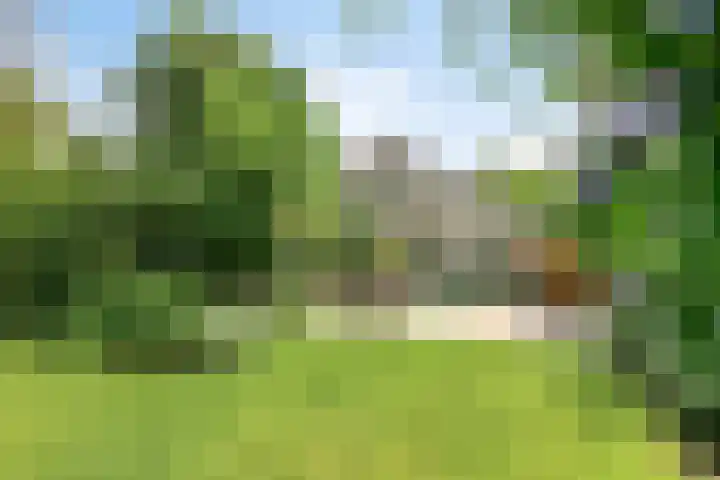 Beukenlaan 3 Heesch thumbnail 59