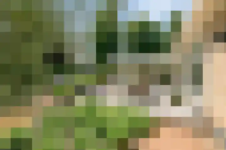 Beukenlaan 3 Heesch thumbnail 60