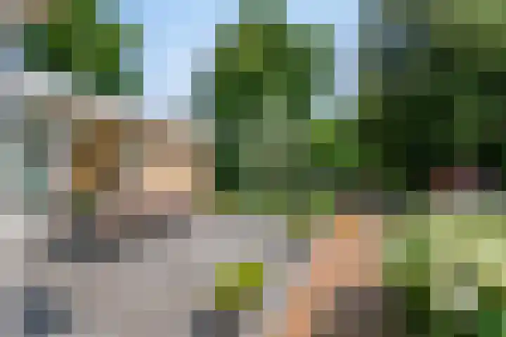 Beukenlaan 3 Heesch thumbnail 62