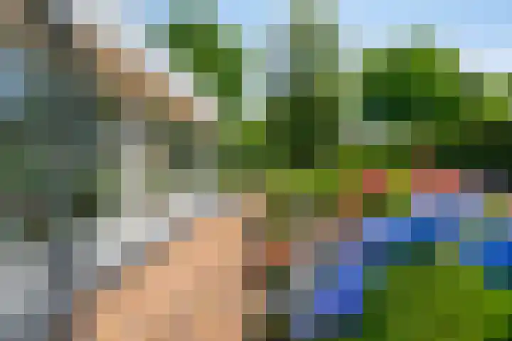 Beukenlaan 3 Heesch thumbnail 63