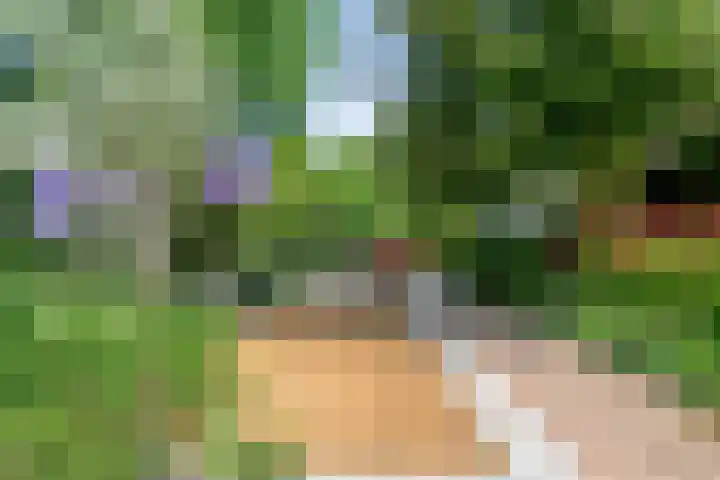 Beukenlaan 3 Heesch thumbnail 64