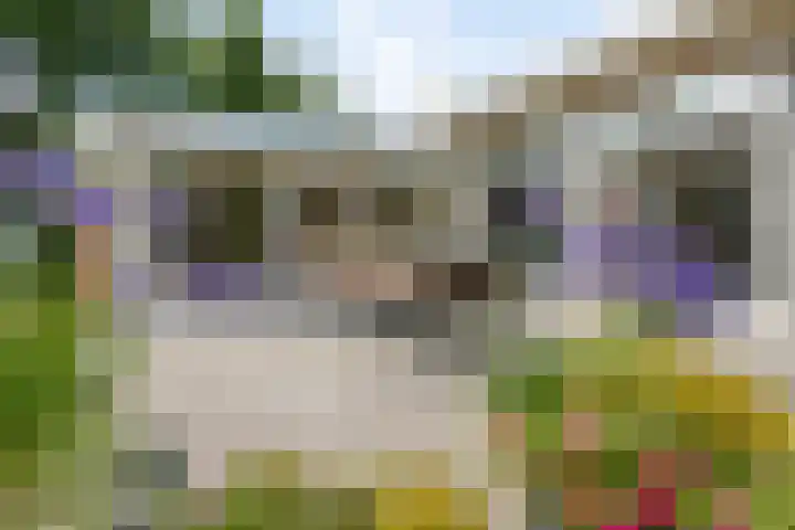 Beukenlaan 3 Heesch thumbnail 65
