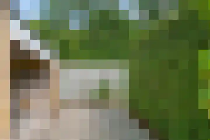 Beukenlaan 3 Heesch thumbnail 66