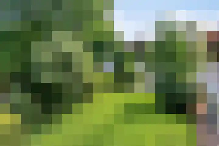 Beukenlaan 3 Heesch thumbnail 68