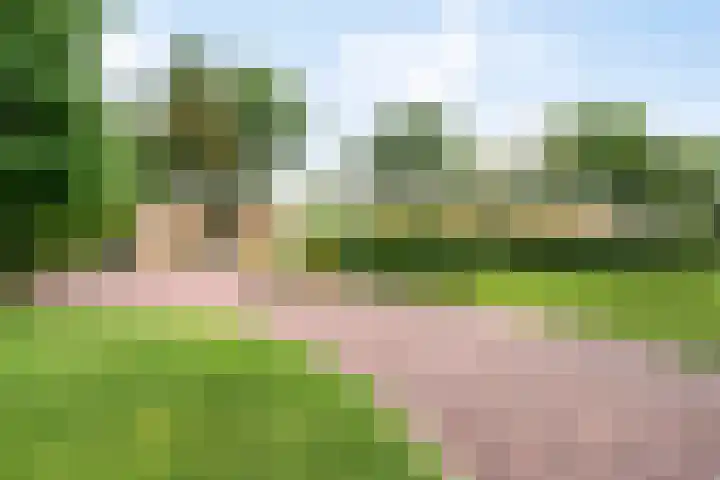 Beukenlaan 3 Heesch thumbnail 7
