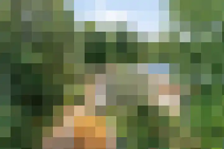 Beukenlaan 3 Heesch thumbnail 70