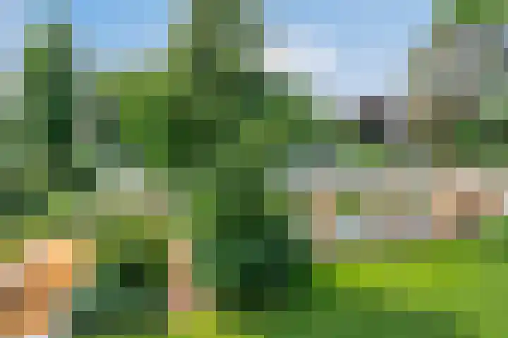 Beukenlaan 3 Heesch thumbnail 71