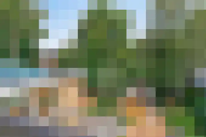Beukenlaan 3 Heesch thumbnail 72