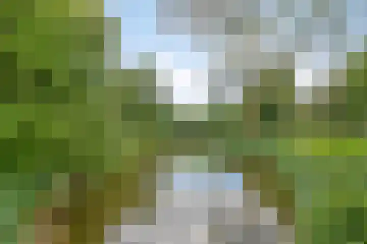 Beukenlaan 3 Heesch thumbnail 76