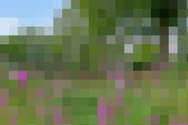 Beukenlaan 3 Heesch thumbnail 77