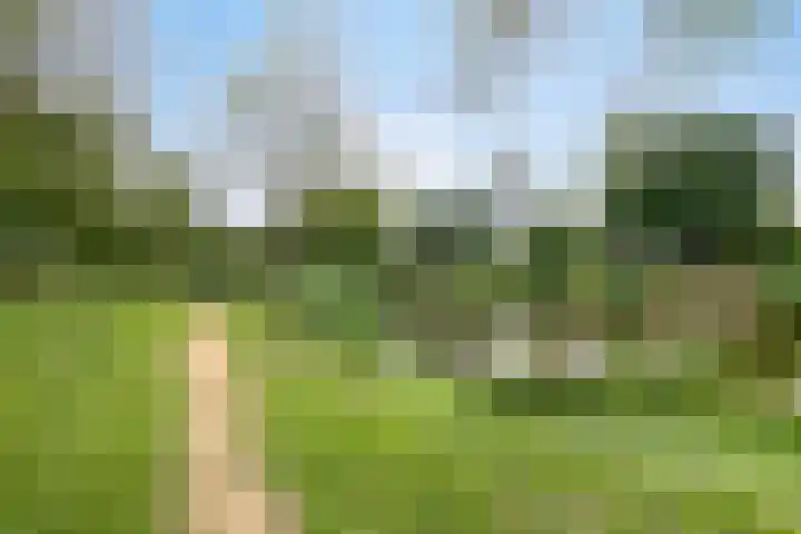 Beukenlaan 3 Heesch thumbnail 78