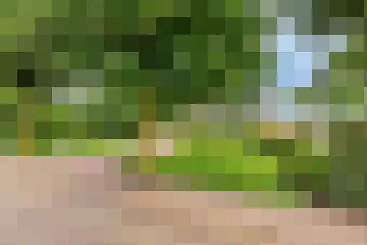 Beukenlaan 3 Heesch thumbnail 83