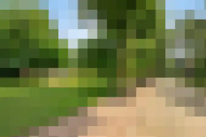 Beukenlaan 3 Heesch thumbnail 9