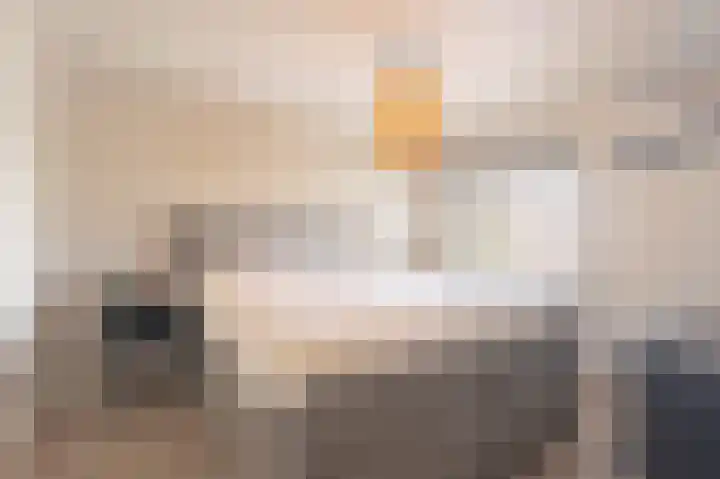 Beukenlaan 53 Bunde thumbnail 14