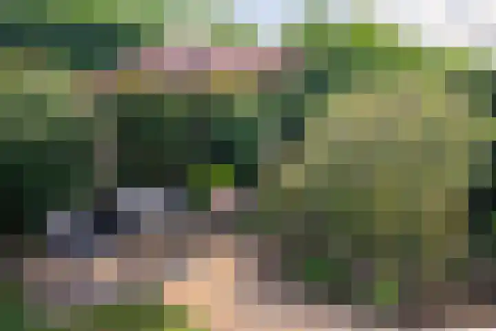 Beukenlaan 53 Bunde thumbnail 23