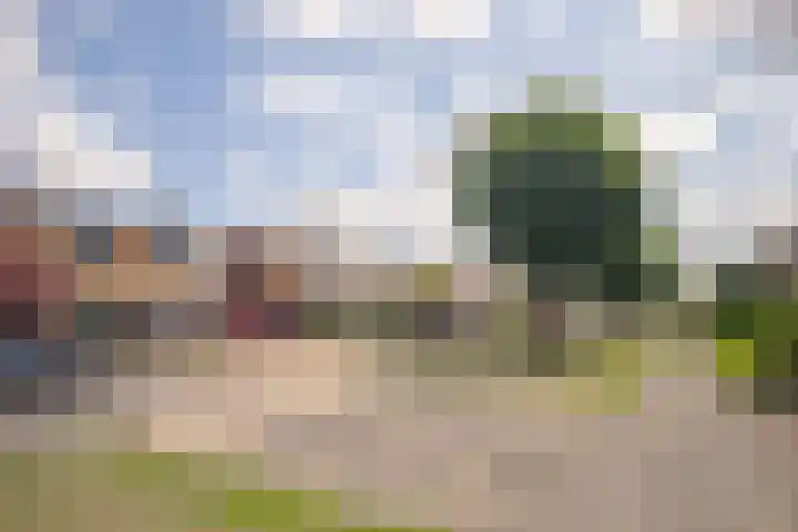 Beukenlaan 53 Bunde thumbnail 28