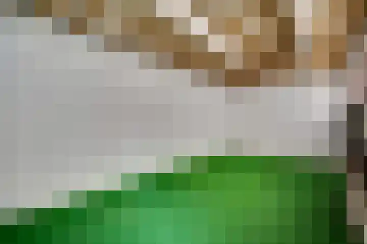 Beukenlaan 67 Bunde thumbnail 17