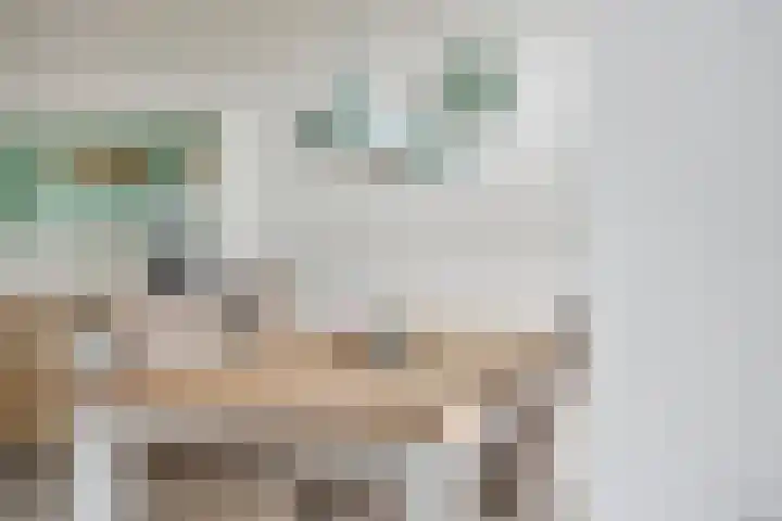 Beukenlaan 70 Eibergen thumbnail 10