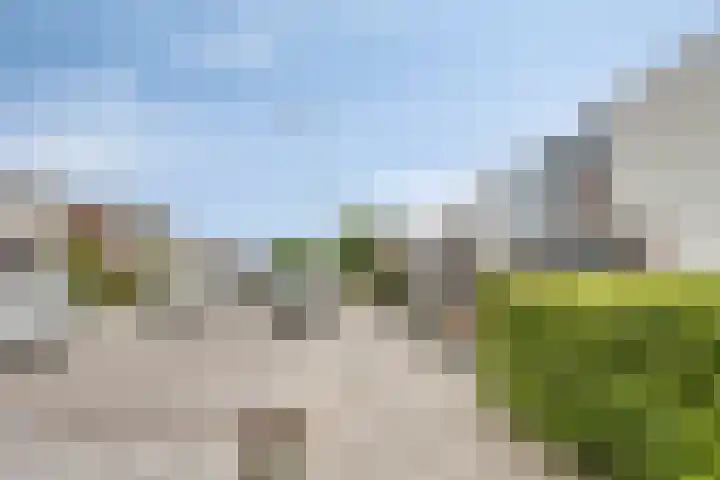 Beukenlaan 70 Eibergen thumbnail 29