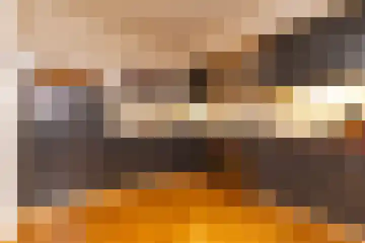 Beukenlaan 75 Twisk thumbnail 15