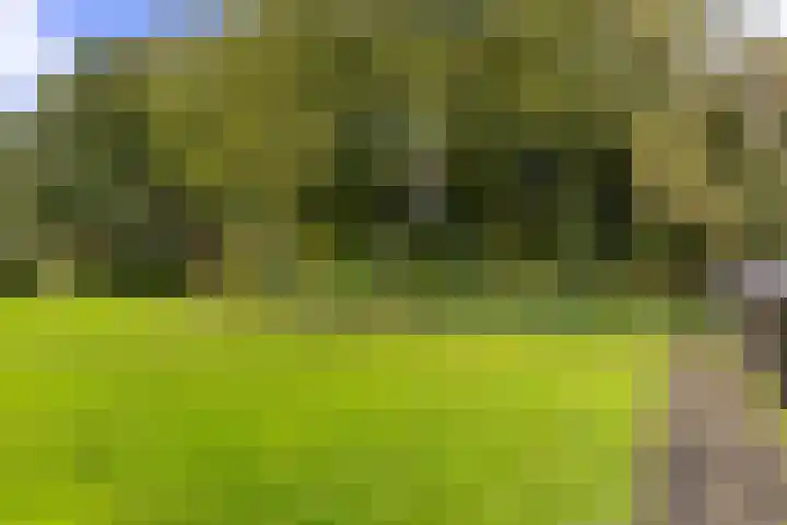 Beukenlaan 75 Twisk thumbnail 20