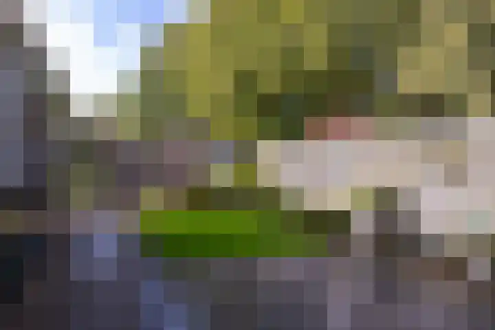 Beukenlaan 75 Twisk thumbnail 24