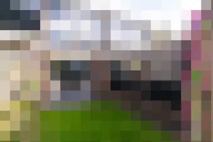 Beukenlaan 75 Twisk thumbnail 4