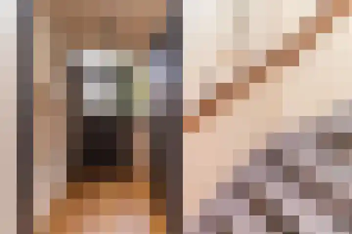 Beukenlaan 75 Twisk thumbnail 8