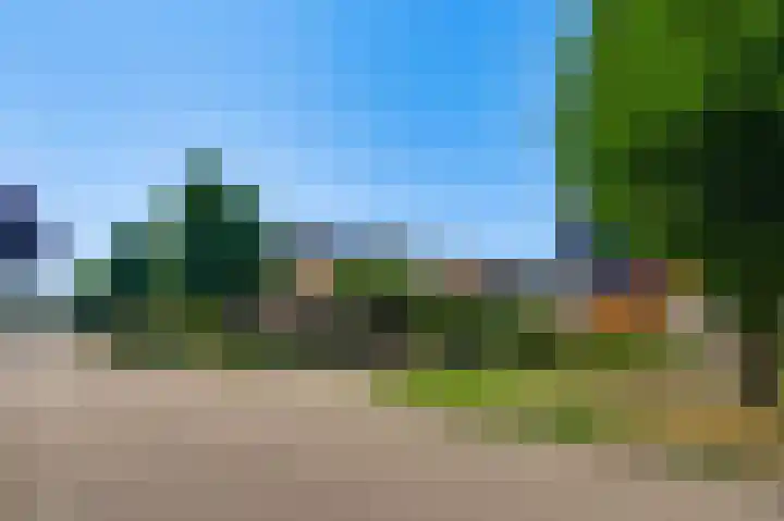 Beukenlaan 78 Bunde thumbnail 19