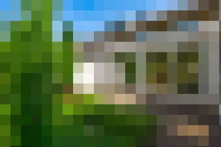 Beukenlaan 78 Bunde thumbnail 4