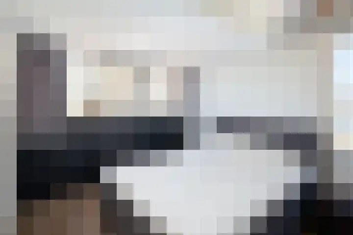 Beukenpad 13 Ter Aar thumbnail 11
