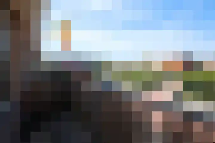 Beukenpad 13 Ter Aar thumbnail 17
