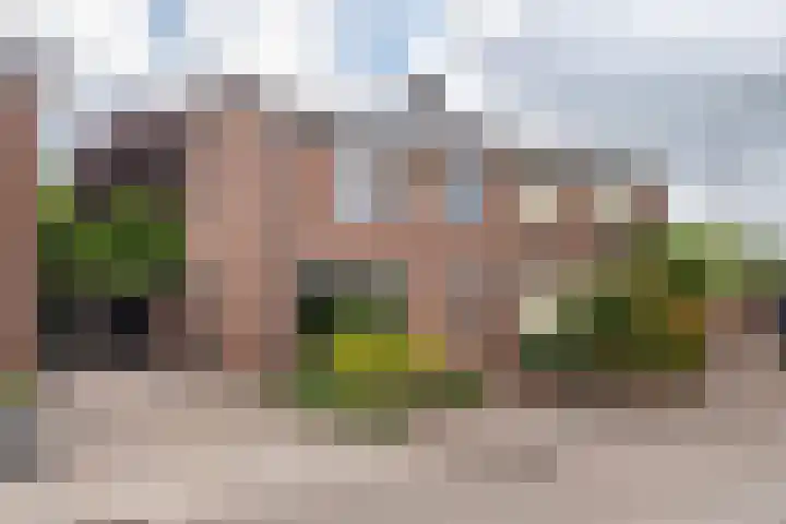 Beukenstraat 6 Gendringen thumbnail 40