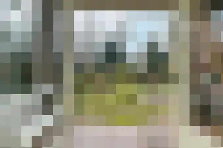 Beukenweg 11 Velp thumbnail 11