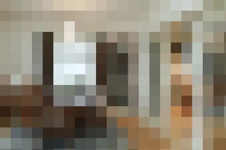 Beukenweg 11 Velp thumbnail 13