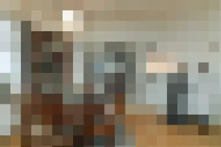 Beukenweg 11 Velp thumbnail 16