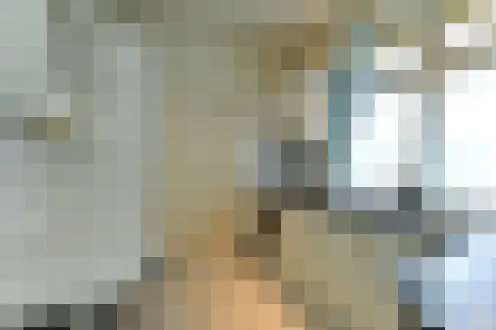 Beukenweg 11 Velp thumbnail 17