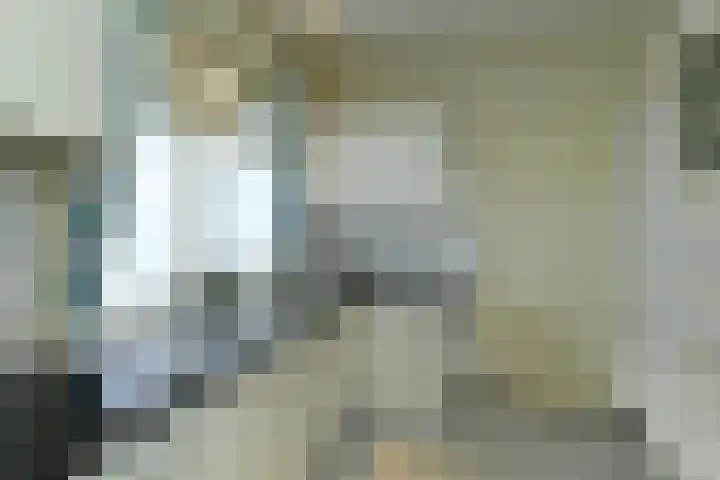 Beukenweg 11 Velp thumbnail 18