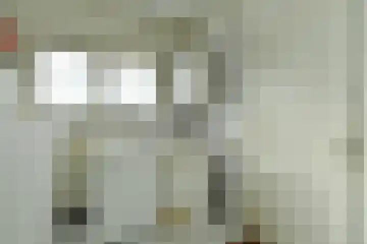 Beukenweg 11 Velp thumbnail 20