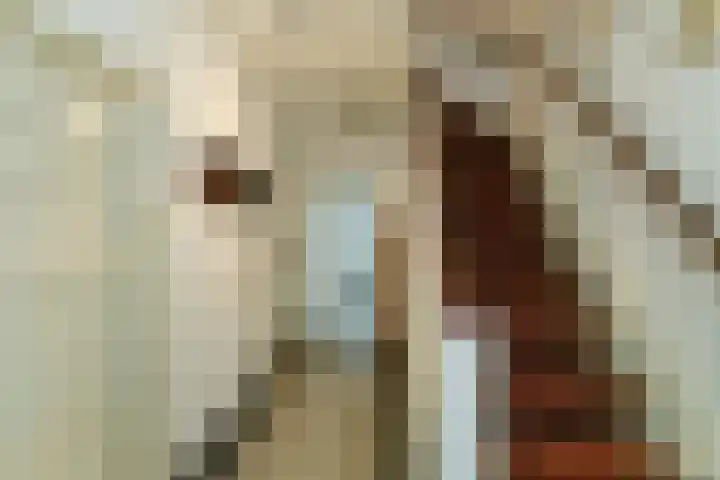 Beukenweg 11 Velp thumbnail 24