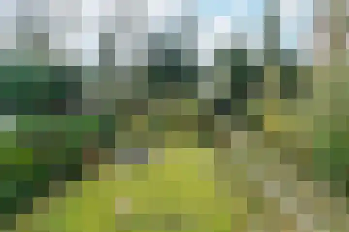 Beukenweg 11 Velp thumbnail 30
